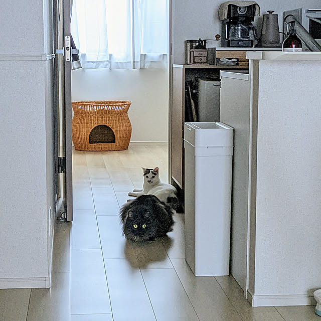 kumiさんの実例写真