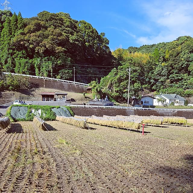 mocomocoさんの部屋