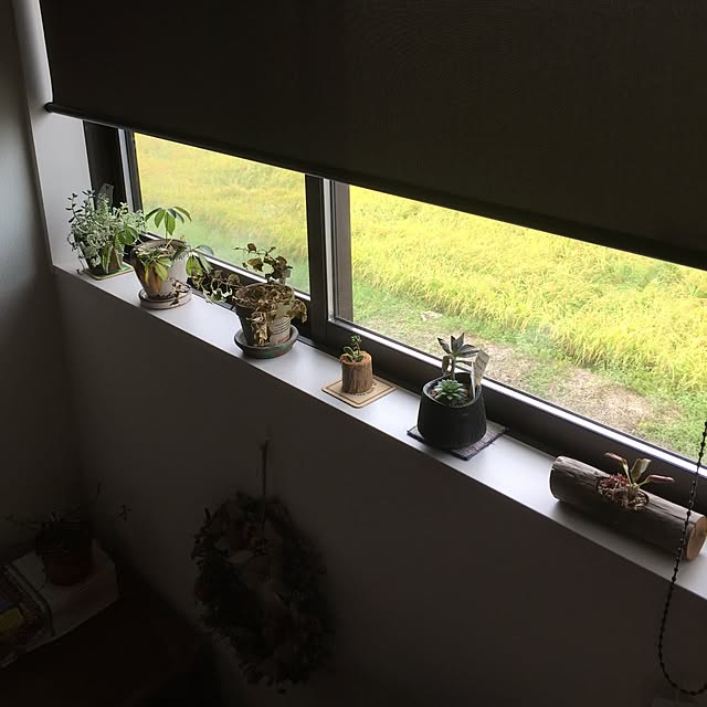 tsuyopipさんの実例写真