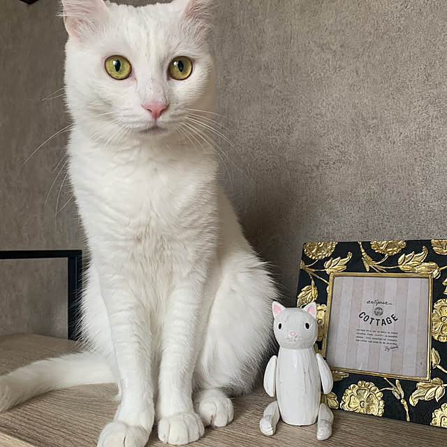 keiさんの実例写真