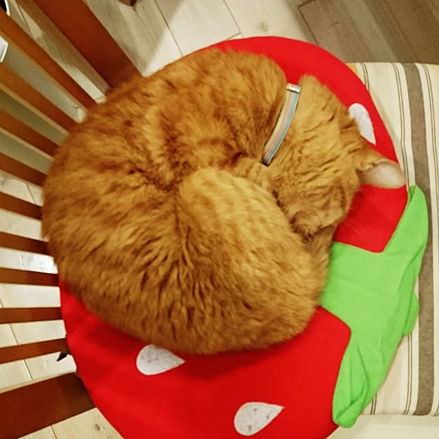 makkiiさんの実例写真