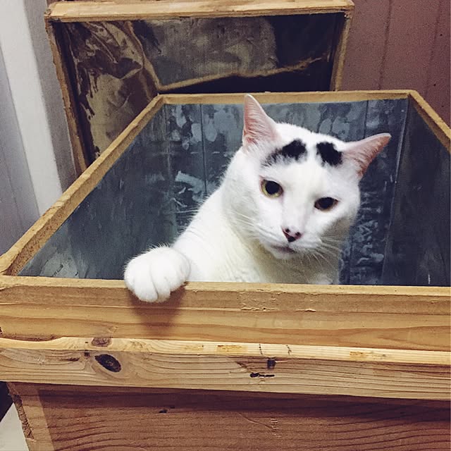 miさんの実例写真