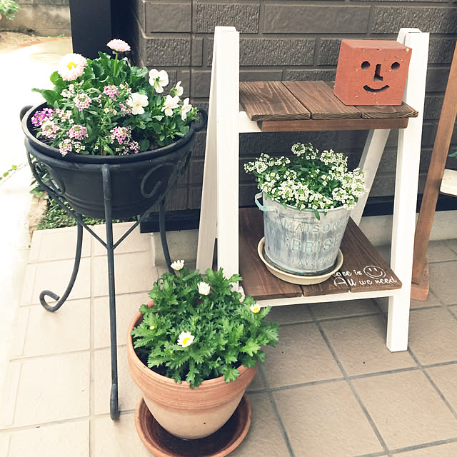 kotaさんの実例写真