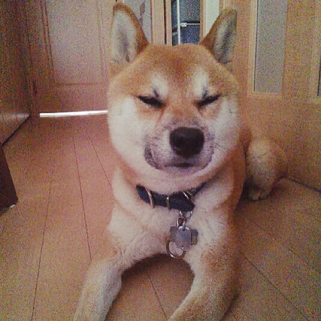 kotaさんの実例写真
