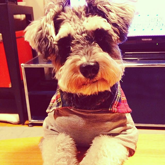 Youkiさんの実例写真