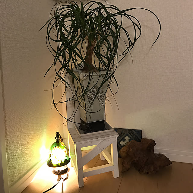 minaさんの実例写真