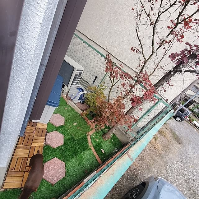 sanipukuさんの部屋