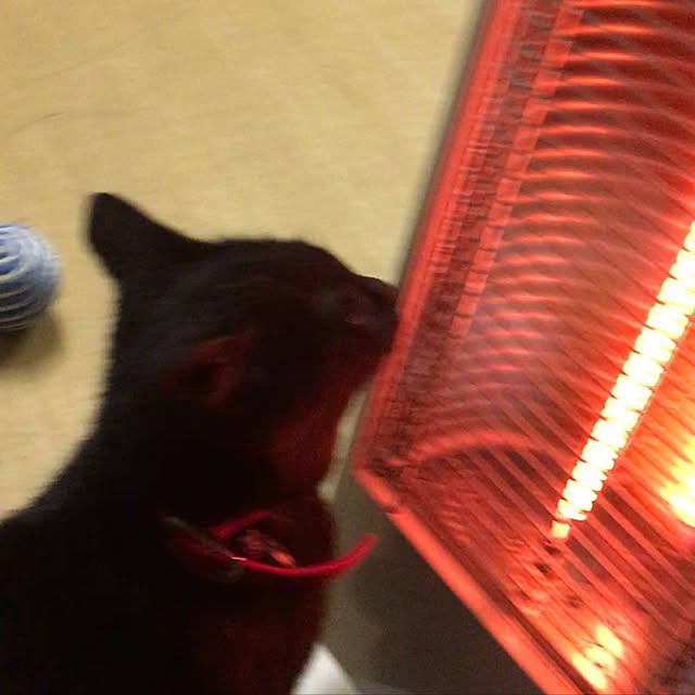 uraraさんの実例写真