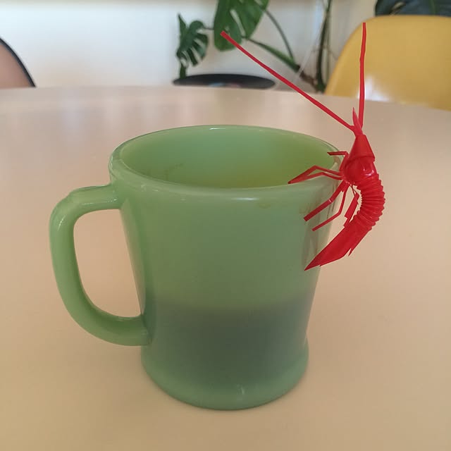 Shojiさんの実例写真