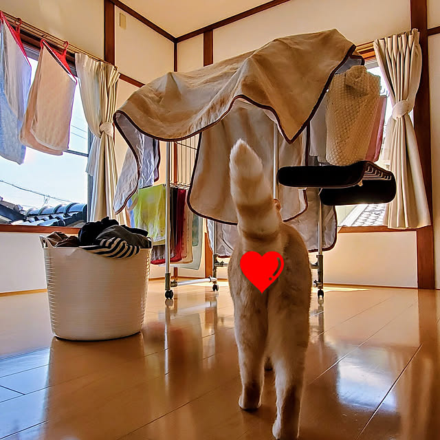 makoさんの実例写真