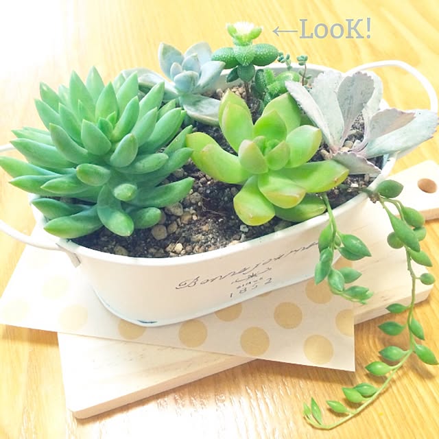 N.Yさんの実例写真