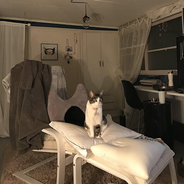 Shihoさんの実例写真