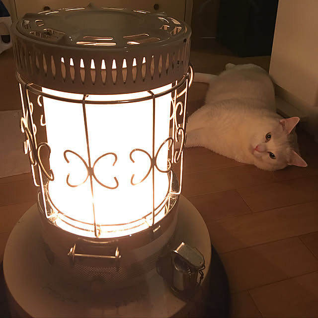 Pete0923さんの実例写真