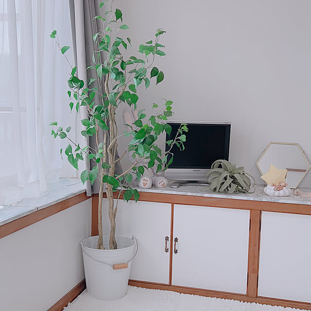 aiさんの実例写真