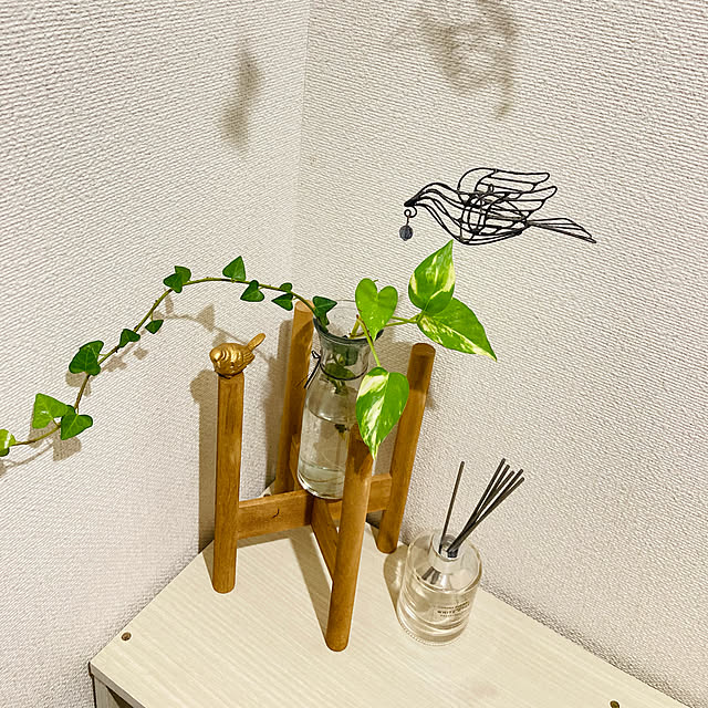 tomoさんの実例写真