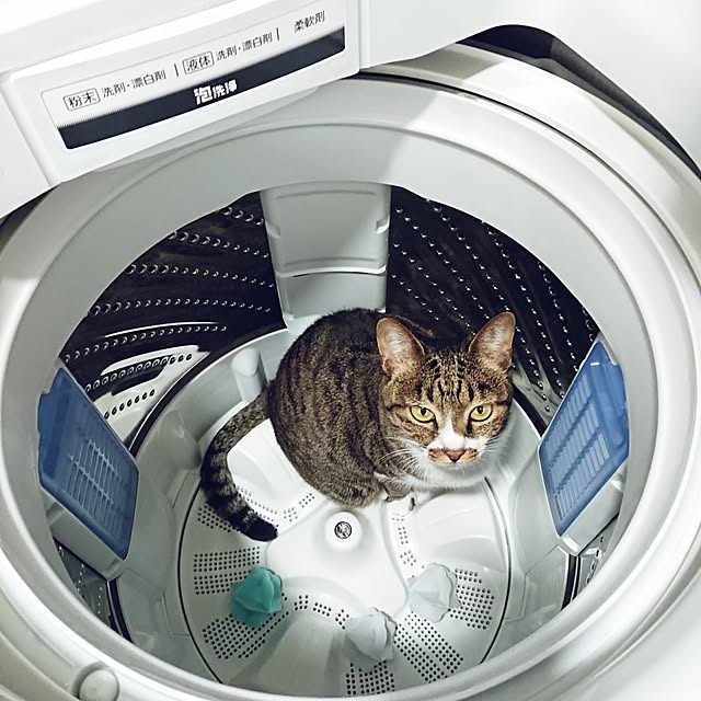 nachiさんの実例写真