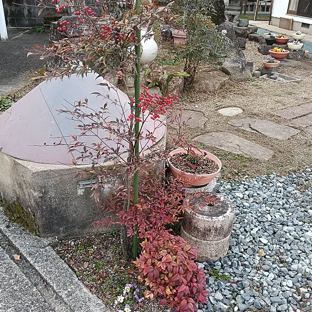 sumimarumiさんの部屋