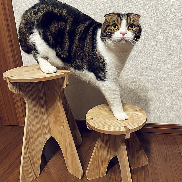 tansukeさんの実例写真