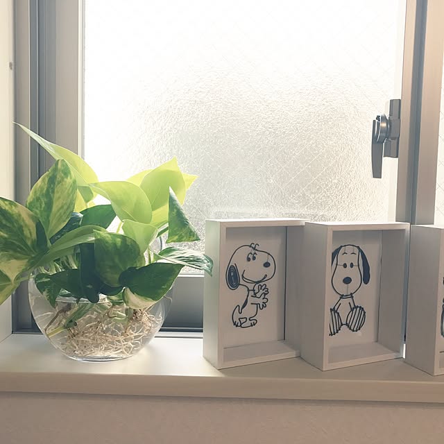 棚/観葉植物のインテリア実例 - 2017-06-05 17:31:31