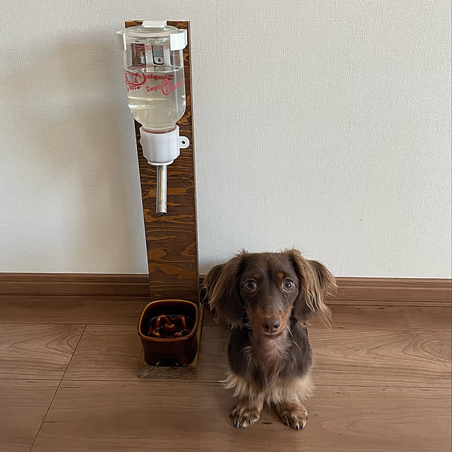 kanaさんの実例写真
