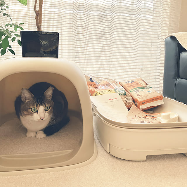 nekomiさんの実例写真