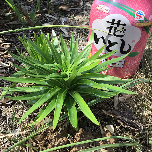 houenさんの部屋