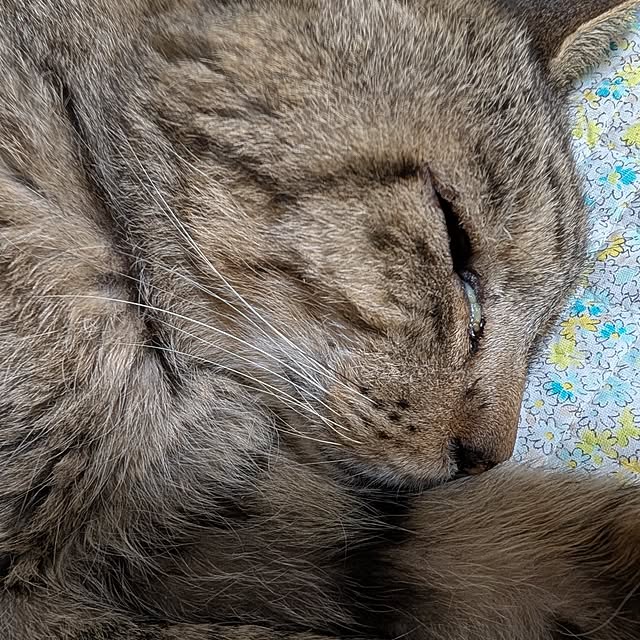 babaさんの実例写真
