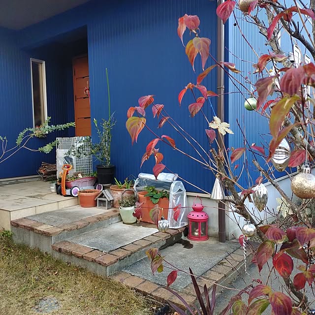 urchinさんの実例写真