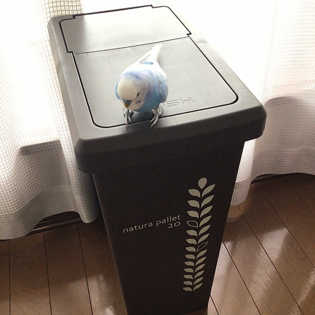 toratanさんの実例写真