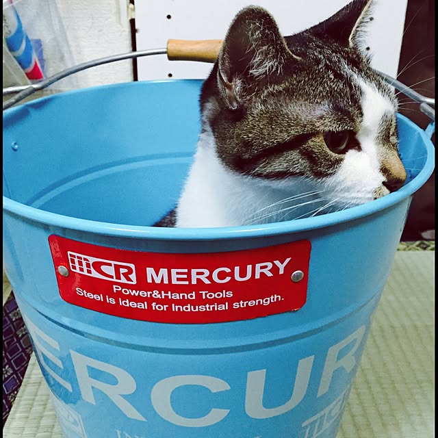 hiroroさんの実例写真