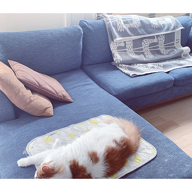 sofa235さんの実例写真