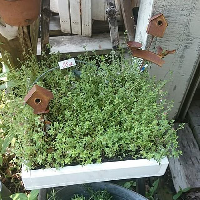 HERBEEさんの部屋