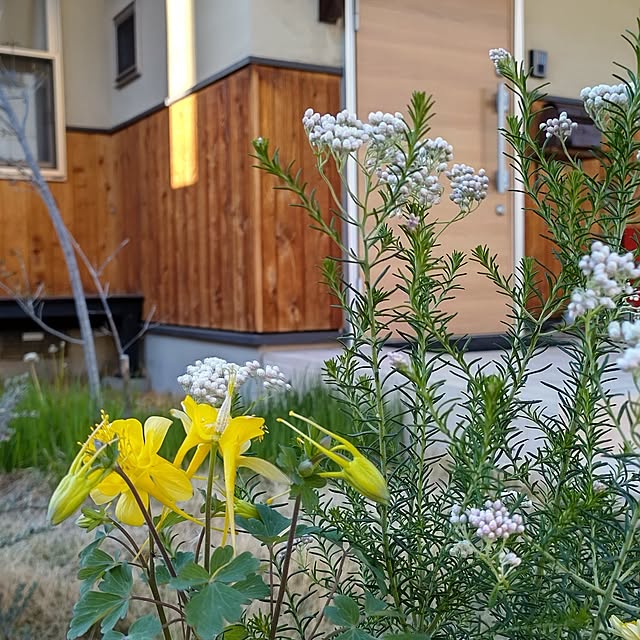 t.yumiさんの部屋