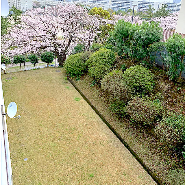 syutmmさんの部屋