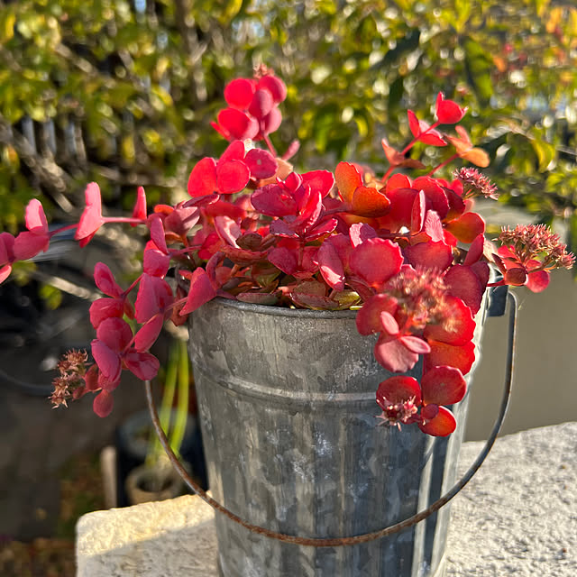 milkmanamaさんの実例写真