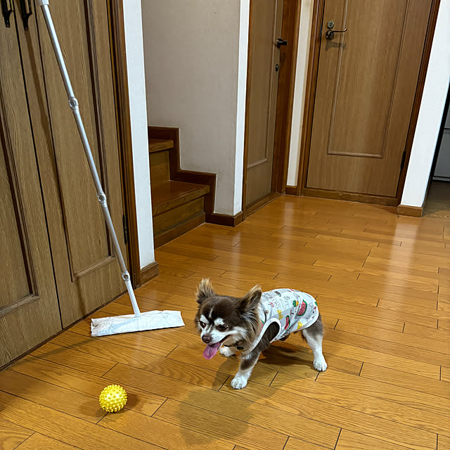 chIoeさんの部屋