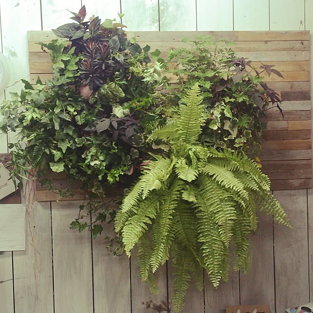 GreenWorksさんの実例写真