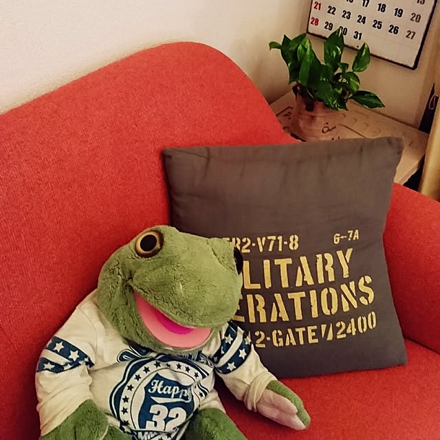 k225さんの実例写真