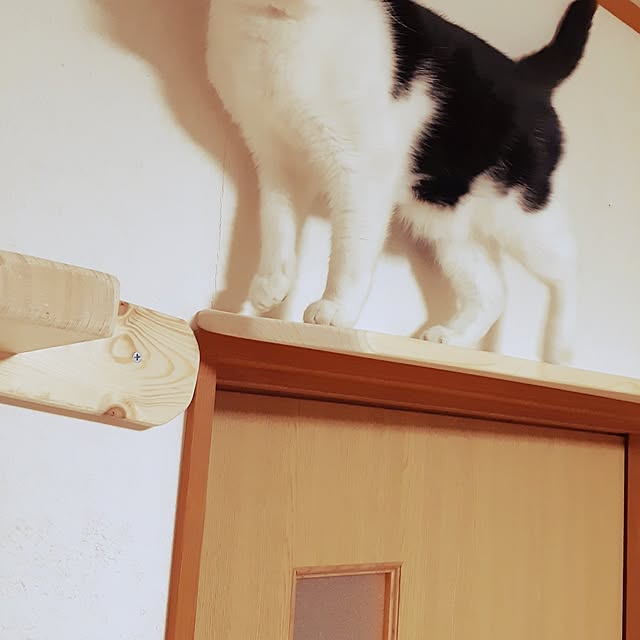 kazumiさんの部屋