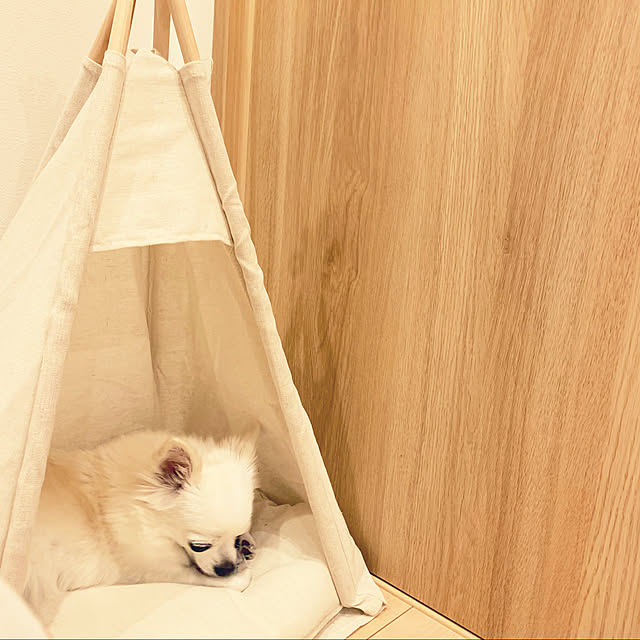 maruyanさんの実例写真