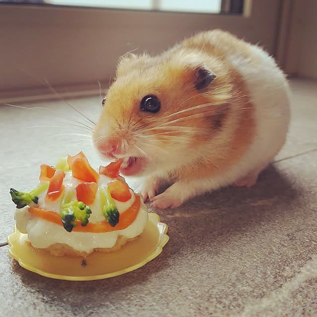 komiso24さんの実例写真
