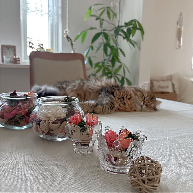 miyu39さんの部屋