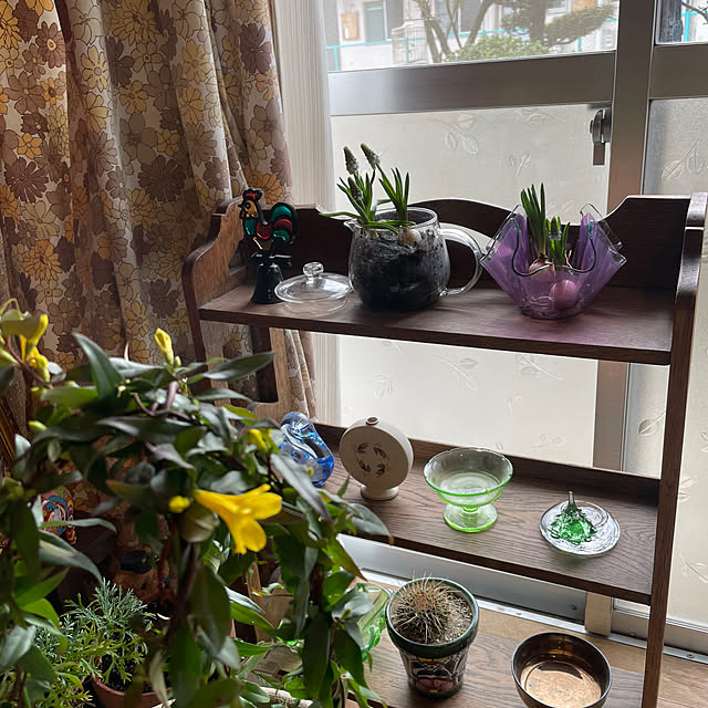 shin0719さんの部屋