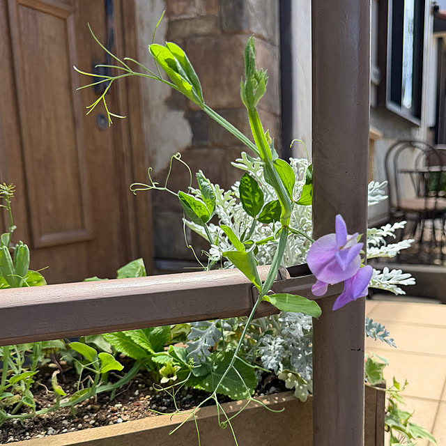 tabasaさんの部屋
