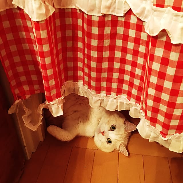 Watanabejunpilさんの実例写真