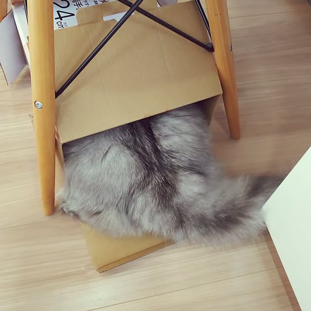 mahimarikoさんの実例写真