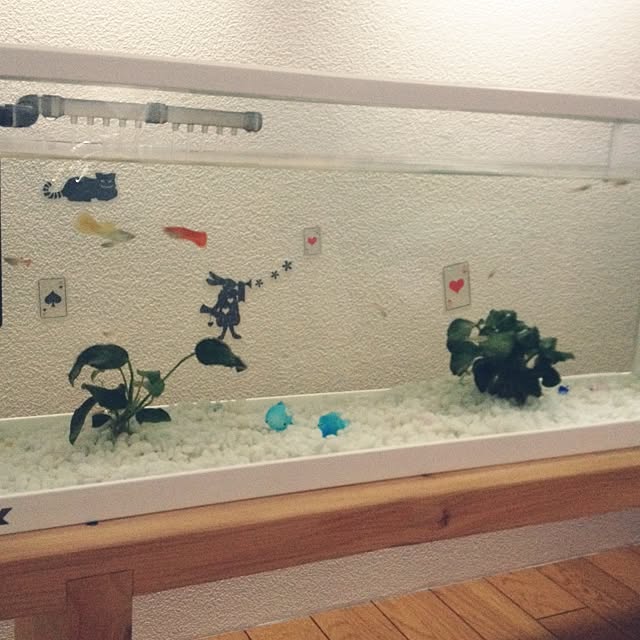 Rさんの実例写真
