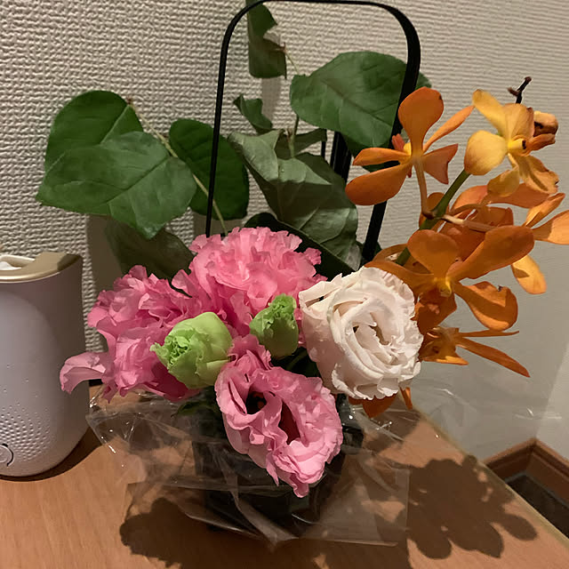 実例写真