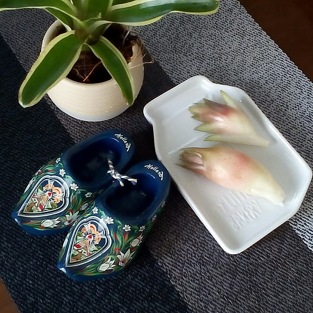 mariagardenさんの実例写真