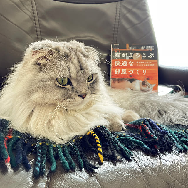 hirominさんの実例写真